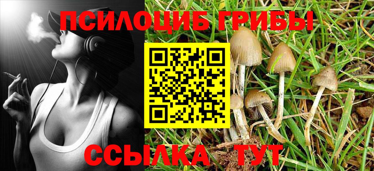 Галлюциногенные грибы GOLDEN TEACHER Нижний Новгород