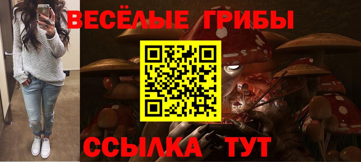 Псилоцибиновые грибы ЛСД  Вход с VPN  Нижний Новгород 